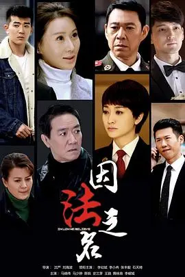 《因法之名》：正义与亲情的终极拷问！揭秘错综复杂的法律迷局