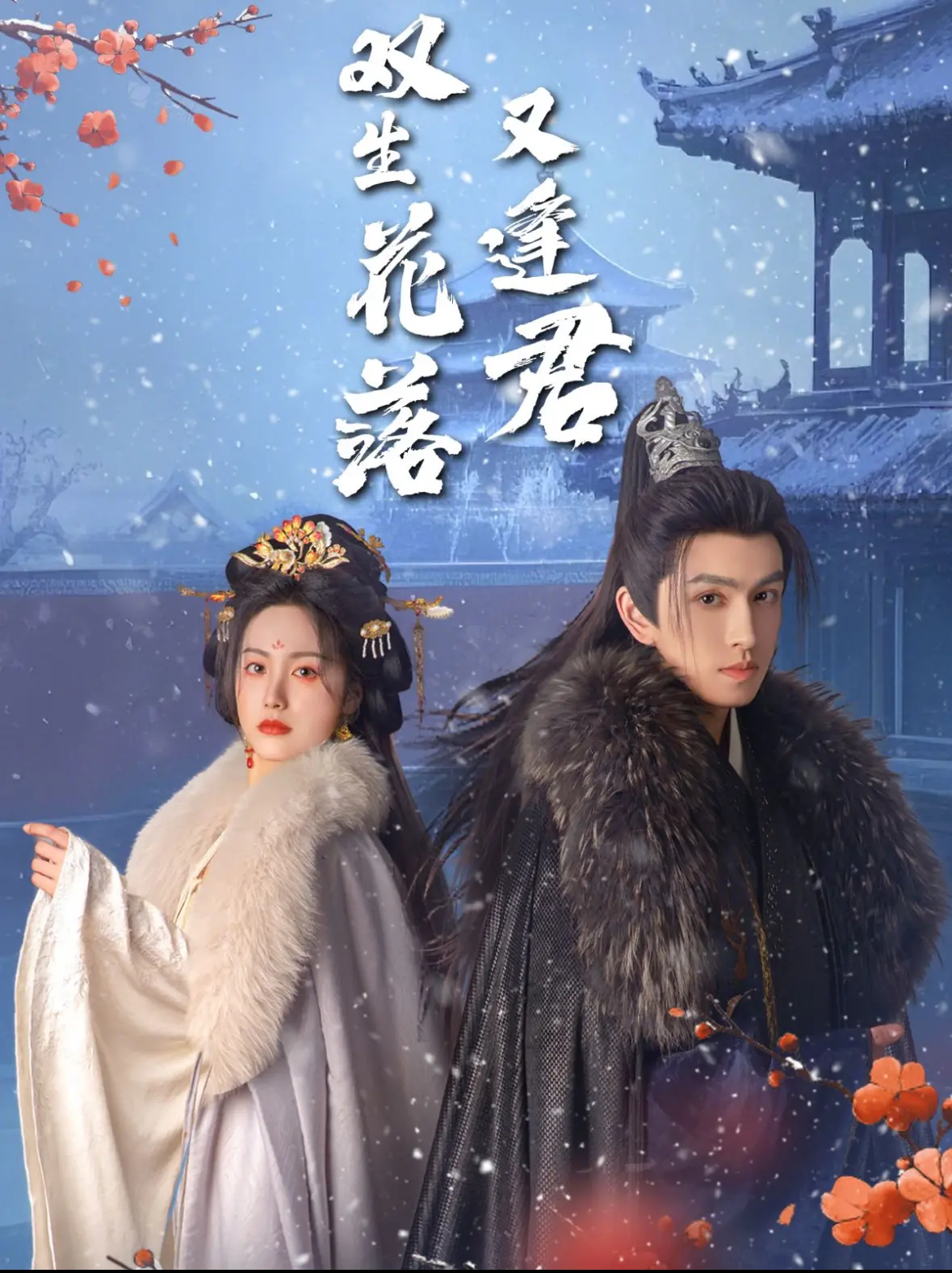 《双生花落又逢君》：命运纠葛下的爱恨情仇，看双生姐妹如何逆天改命！